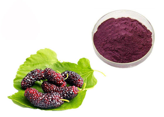 China Anthocyanin-Frucht-Maulbeerkräuterauszug-Pulver für Lebensmittel-Zusatzstoffe fournisseur