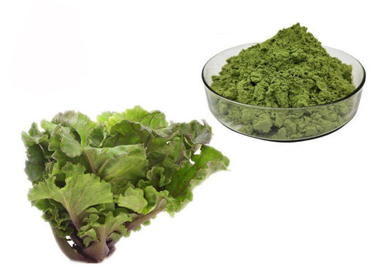China Saft-Kohl-Auszug-Pulver fournisseur