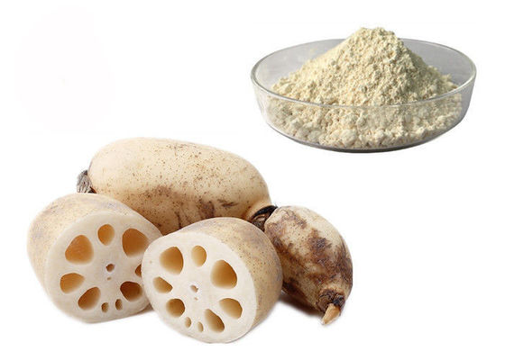 China Mahlzeit-Ersatz-reines natürliches Lotus-Wurzelgemüse-Auszug-Pulver fournisseur