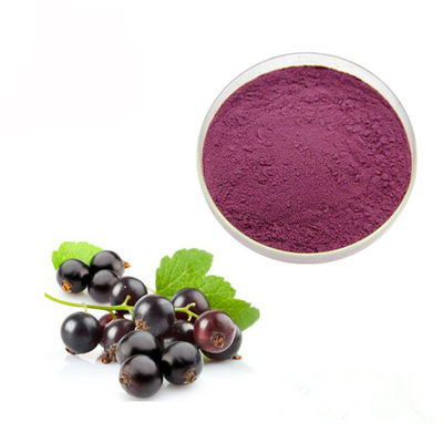 China Starkes Anthocyanin-Auszug-Pulver der Saft-Schwarzen Johannisbeere-10% fournisseur