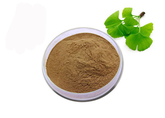 China USP-Grad organisches Ginkgo Biloba-Pulver fournisseur