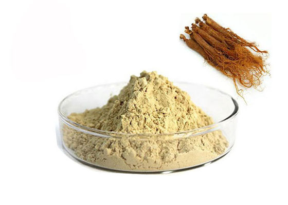 China 10% Ginsenosides roter Ginseng-Auszug fournisseur