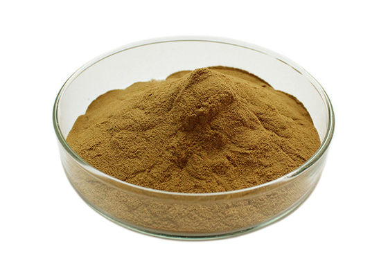 Massenpulver Owering-Blutdruck Ginkgo Biloba fournisseur