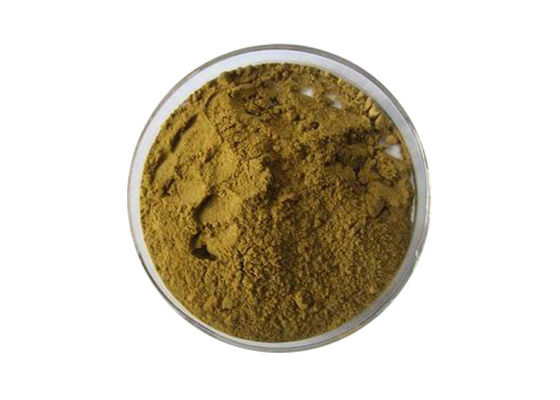 Nahrungsmittel-Grad-Ernährungs-Brown-Ginkgo Biloba-Blatt-Auszug-Pulver fournisseur