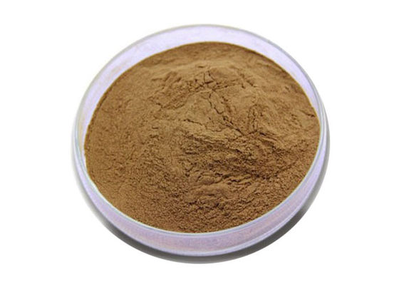 Nahrungsmittel-Grad-Ernährungs-Brown-Ginkgo Biloba-Blatt-Auszug-Pulver fournisseur