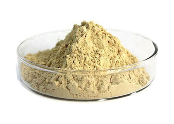 10% Ginsenosides roter Ginseng-Auszug fournisseur