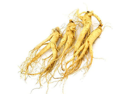 Pharmazeutische 80% Panax Wurzel-natürliches Ginseng-Auszug-Pulver fournisseur