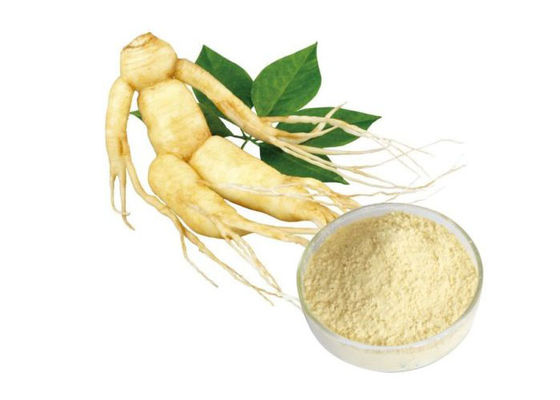 GINSENG-Wurzel-Pulver CASs 90045-38-8 80% Ginsenosides reines Kräuter fournisseur
