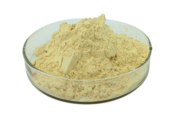 30% Ginsenosides Antialtern-hellgelbes Ginseng-Auszug-Pulver fournisseur
