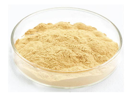 Gesundheitswesen, das immunes Wurzel-Ginseng-Auszug-Pulver verbessert fournisseur