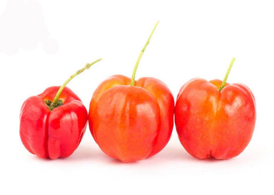 Vitamin C 17% 25% Acerola-Kirschnatürliches Frucht-Auszug-Pulver fournisseur