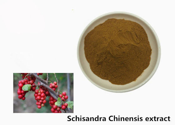 Pflanzenauszug-Pulver Hepatoprotective 5,2% Schisandra chinensis fournisseur