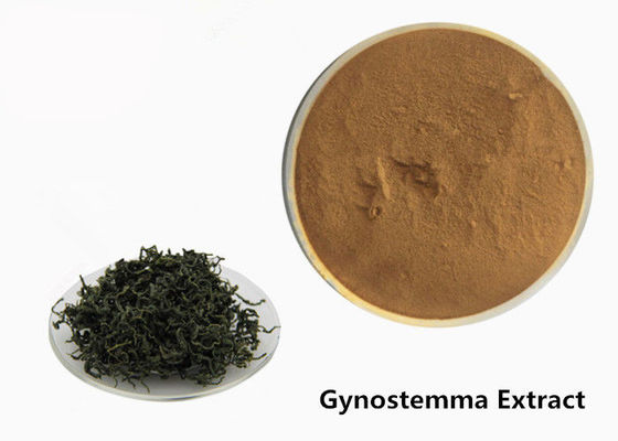 Nahrungsmittel-Grad-Anti- Tumor Kräuter-Gynostemma-Auszug-Pulver fournisseur