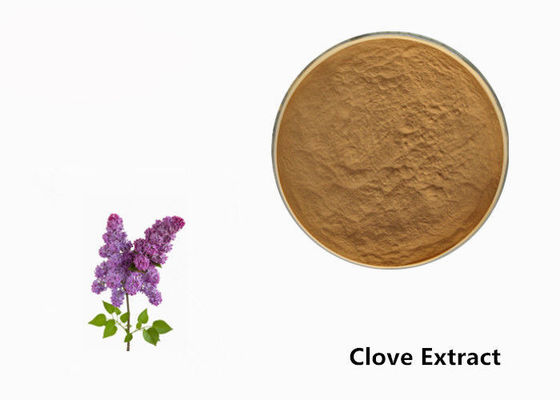 Brown-Nelken-Blumen-Pflanzenauszug-Pulver für Lebensmittel-Zusatzstoff fournisseur