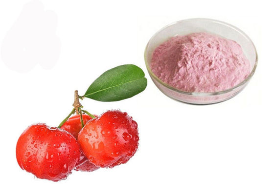 Vitamin C 17% 25% Acerola-Kirschnatürliches Frucht-Auszug-Pulver fournisseur