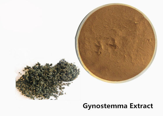 Nahrungsmittel-Grad-Anti- Tumor Kräuter-Gynostemma-Auszug-Pulver fournisseur