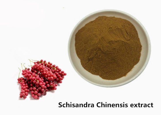 Pflanzenauszug-Pulver Hepatoprotective 5,2% Schisandra chinensis fournisseur