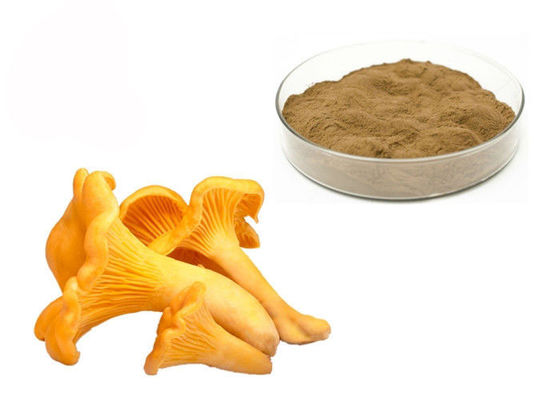 30% Polysaccharide Chantarelle-Pilz-Auszug-Pulver fournisseur