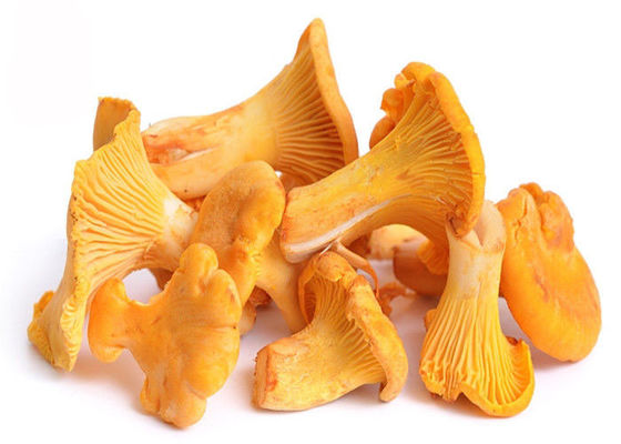 30% Polysaccharide Chantarelle-Pilz-Auszug-Pulver fournisseur