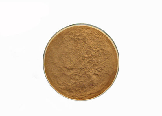 Polysaccharid-Pilz-Auszug-Pulver Hericum-Erinaceus-10% fournisseur