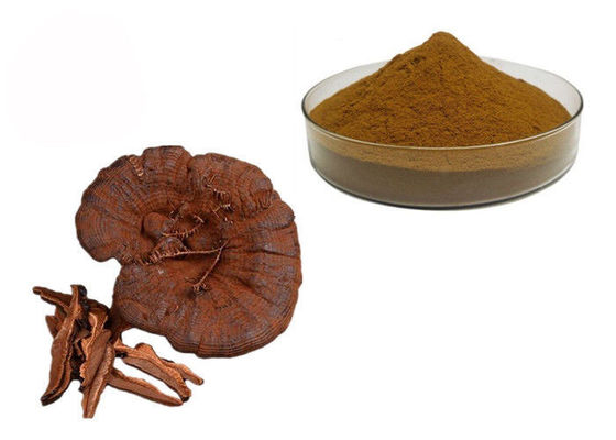 Pilz-Auszug-Pulver 50% Reinheit Ganoderma Lucidum Reishi fournisseur