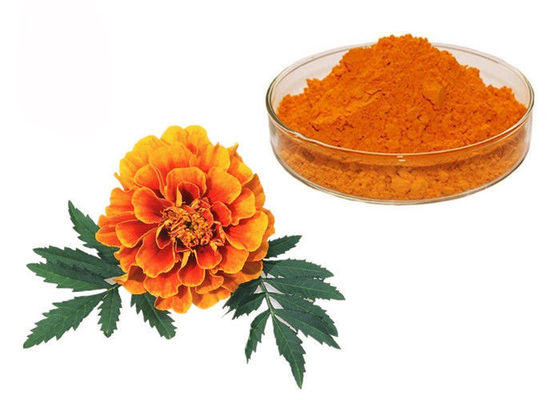 Natürliche Pigment-Xanthophyll-Ringelblumen-Blumen-Kräuterauszug-Pulver fournisseur