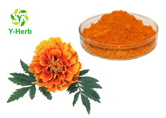 Natürliche Pigment-Xanthophyll-Ringelblumen-Blumen-Kräuterauszug-Pulver fournisseur