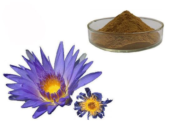 Nymphaea Caerulea-Blumen-taubenblaue Lotus-organische Kräuterauszüge fournisseur