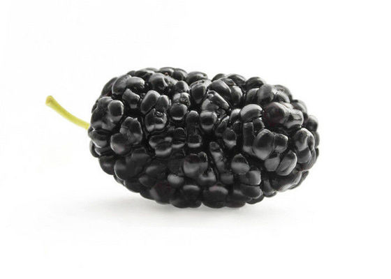 Anthocyanin-Frucht-Maulbeerkräuterauszug-Pulver für Lebensmittel-Zusatzstoffe fournisseur