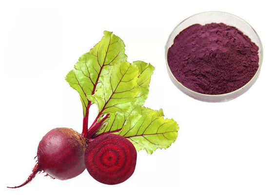 Natürliche Pigment-Antitumor-rote Rote-Bete-Wurzeln Gemüseauszug-Pulver fournisseur