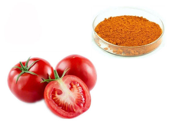 6% 10% 20% Lykopen 502-65-8 entwässerte Tomaten-Frucht-Auszug fournisseur