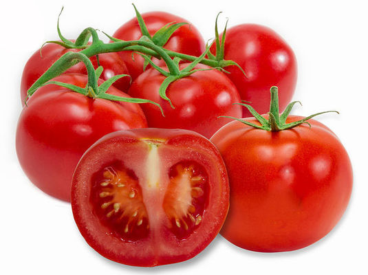 6% 10% 20% Lykopen 502-65-8 entwässerte Tomaten-Frucht-Auszug fournisseur