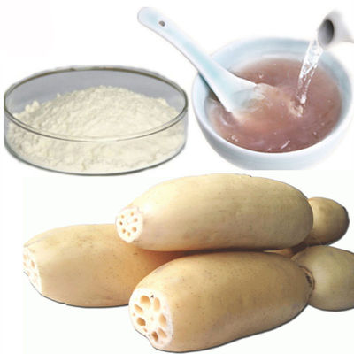 Mahlzeit-Ersatz-reines natürliches Lotus-Wurzelgemüse-Auszug-Pulver fournisseur