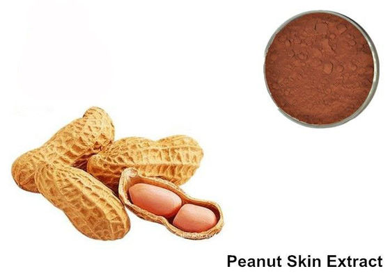 95% Proanthocyanidins Erdnuss-Haut-Anthocyanin-Auszug-Pulver fournisseur