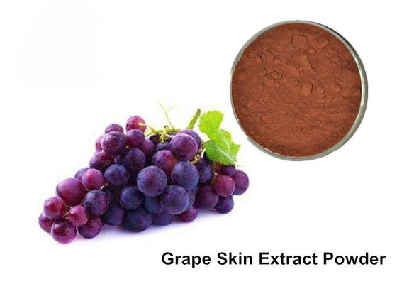 25% Anthocyanin-reines Traubenkorn/Trauben-Haut-Auszug-Pulver fournisseur