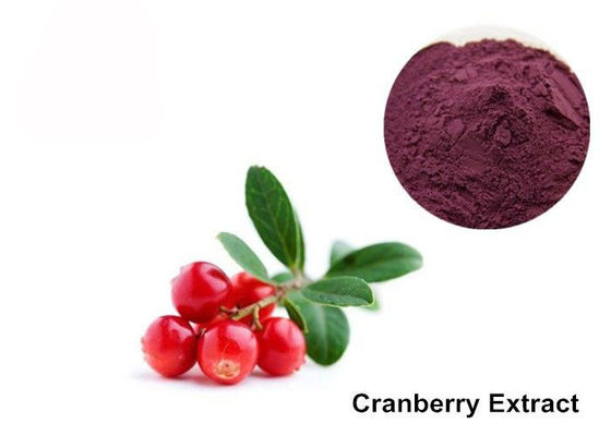 Anthocyanin-Auszug-Pulver des Moosbeerfrucht-purpurrotes Rot-25% fournisseur