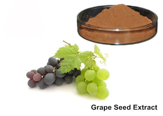 25% Anthocyanin-reines Traubenkorn/Trauben-Haut-Auszug-Pulver fournisseur