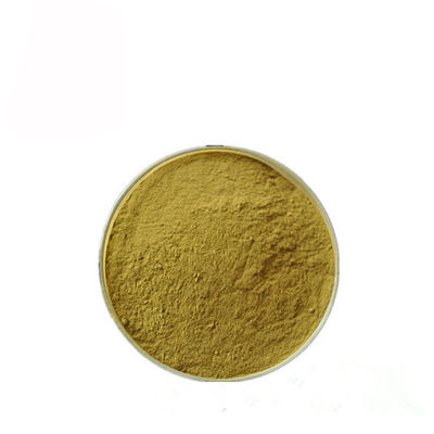 Gymnema Sylvestre-Blatt-Anthocyanin-Auszug-Pulver für pharmazeutisches fournisseur