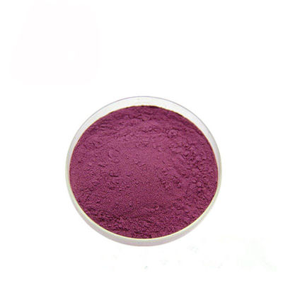 Starkes Anthocyanin-Auszug-Pulver der Saft-Schwarzen Johannisbeere-10% fournisseur