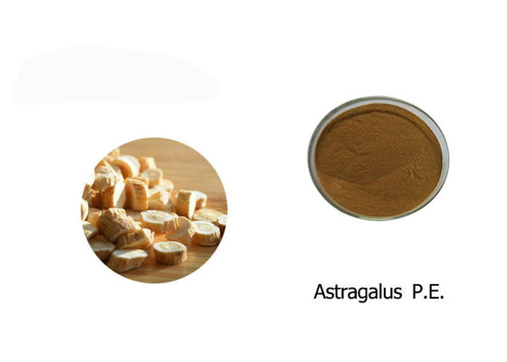 Astragal-Auszug-Pulver 100% fournisseur