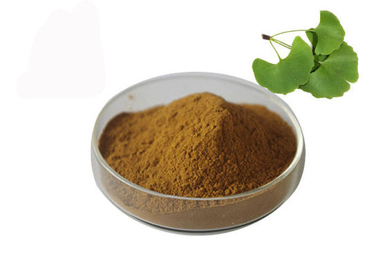 Massenpulver Owering-Blutdruck Ginkgo Biloba fournisseur