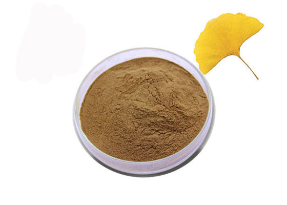 Pharmazeutisches Grad Ginkgo Biloba-Auszug-Pulver für Gesundheitswesen fournisseur