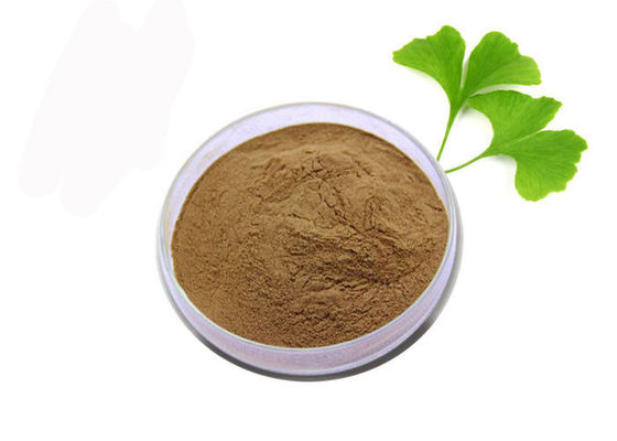 Medizinischer Grad-Antioxydationsmittel reines Ginkgo Biloba-Auszug-Pulver fournisseur
