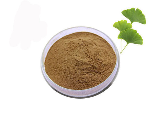 Regulieren Sie Blut-Fett 24/6 Ginkgo-Biloba standardisierten Auszug fournisseur