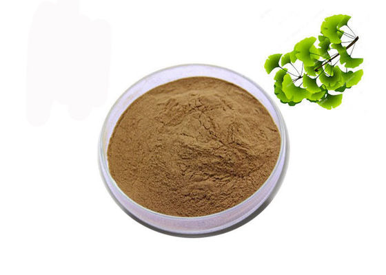 Blätter CASs 90045-36-6 organisches trockenes Ginkgo Biloba-Auszug-Pulver fournisseur