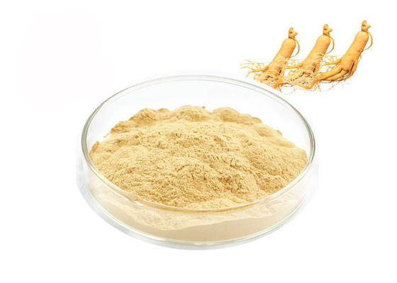 Natürliches Ginseng-Auszug-Pulver fournisseur