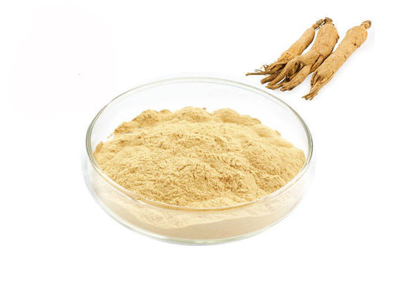 Gesundheitswesen, das immunes Wurzel-Ginseng-Auszug-Pulver verbessert fournisseur