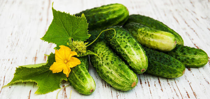 Antialtern wasserlöslicher Cucumis-Sativusfrucht-Auszug für Haut 0
