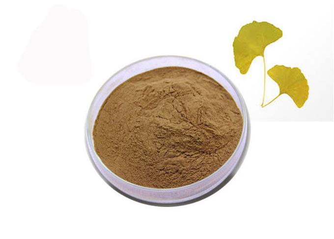 Laktone reines natürliches Ginkgo Biloba-Auszug-Pulver 24% Flavon-6% 0