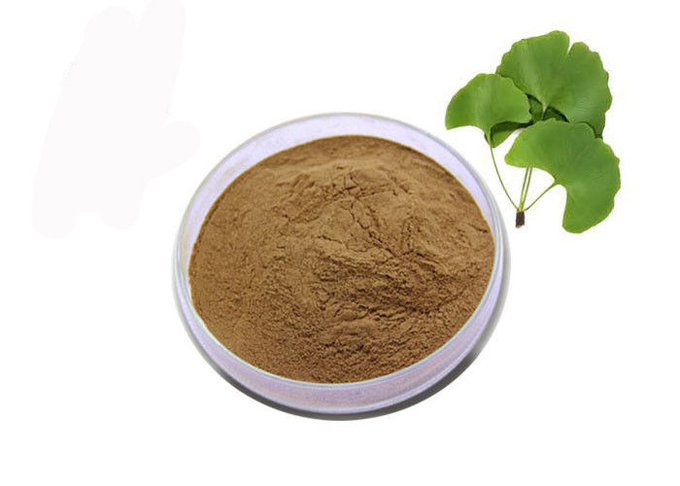 Nahrungsmittel-Grad-Ernährungs-Brown-Ginkgo Biloba-Blatt-Auszug-Pulver 0